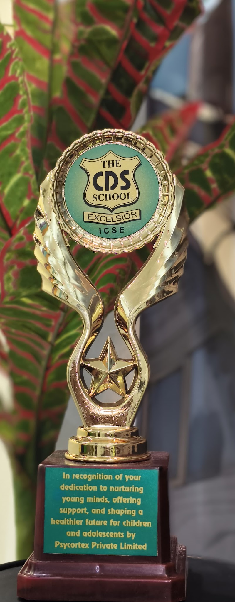 Dr Roshni Dwivedi (Couple Counselor, Marriage Counselor, Psychologist In India ) Nagpur - Psychologist in Sadar, Nagpur (Photo by Dr Roshni Dwivedi (Couple Counselor, Marriage Counselor, Psychologist In India ) Nagpur)