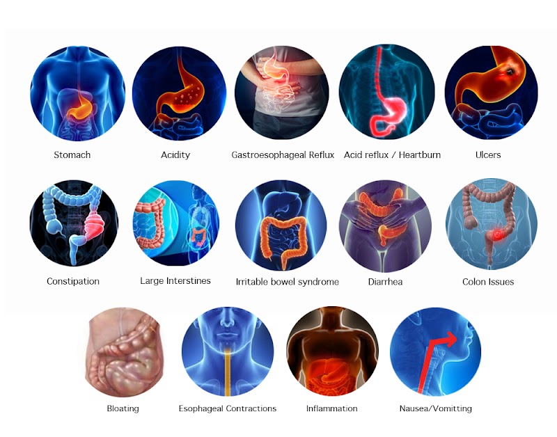 Elsa Lumia Da Costa - Mental Health Consultant & Counselor - Psychologist in Borda, Madgaon (Photo by Elsa Lumia Da Costa - Mental Health Consultant & Counselor)