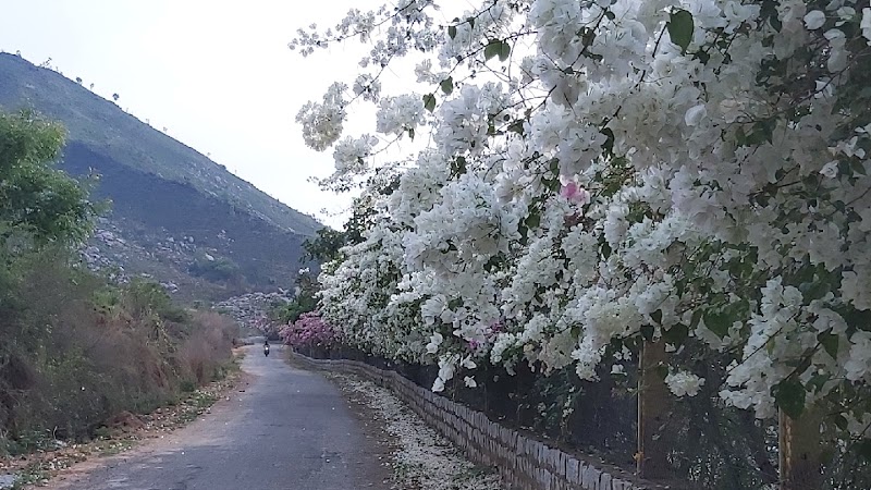 Kosha Pranic Healing Centre -Depression Treatment in Nashik|Anxiety Treatment in Nashik|Infertility Treatment in Nashik