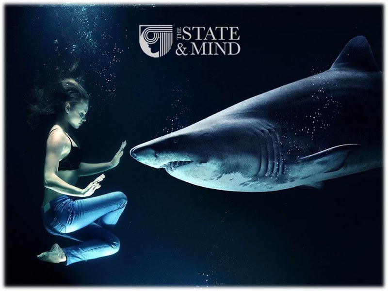 The State And Mind - Psychologist in Koregaon Park, Pune (Photo by The State And Mind)