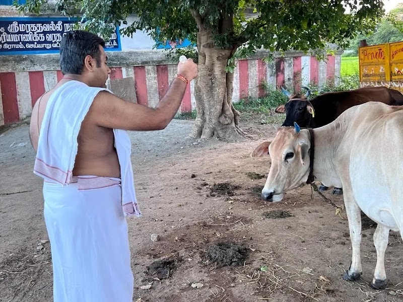 White Lotus Solutions - Psychologist in Bogadi 2nd Stage North, Mysuru (Photo by Rajni Prasanna Rahul Kashyap)